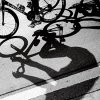 rider-shadow.jpg