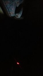 Snapchat-2239063882057109988.jpg Snapchat-2239063882057109988.jpg