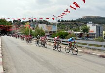 12916130_632154950281705_1703501657070087253_o.jpg 12916130_632154950281705_1703501657070087253_o.jpg