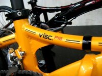 Visc_P18_9.jpg