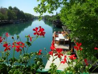 SAM_1133.JPG SAM_1133.JPG