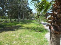 SAM_1150.JPG SAM_1150.JPG