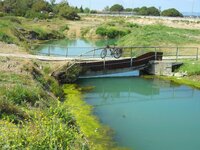 SAM_1192.JPG SAM_1192.JPG