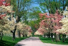 İlkbaharın Başlangıcı.jpg