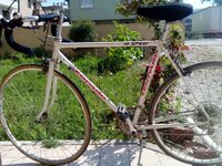 IMG_20160507_161914.jpg IMG_20160507_161914.jpg