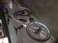 image.jpeg image.jpeg