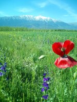 IMG_20160509_090315.jpg IMG_20160509_090315.jpg