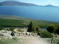 IMG_20160509_095629.jpg IMG_20160509_095629.jpg