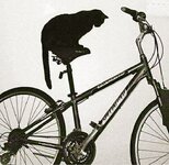 13174143_10154032172751832_9090805664544275484_n.jpg 13174143_10154032172751832_9090805664544275484_n.jpg