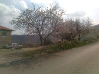Fotoğraf0003.jpg Fotoğraf0003.jpg