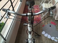 image.jpeg image.jpeg