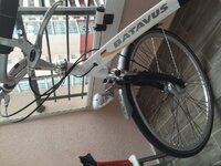 image.jpeg image.jpeg