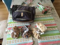 IMG_1028.JPG IMG_1028.JPG