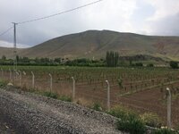 IMG_1056.JPG IMG_1056.JPG