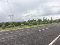 IMG_1057.JPG IMG_1057.JPG