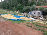 IMG_1072.JPG IMG_1072.JPG