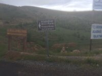 IMG_1074.JPG IMG_1074.JPG