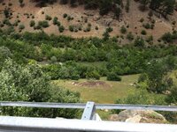 IMG_1115.JPG IMG_1115.JPG