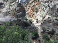 IMG_1124.JPG IMG_1124.JPG