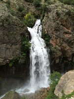 IMG_1129.JPG IMG_1129.JPG