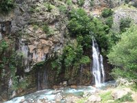 IMG_1131.JPG IMG_1131.JPG