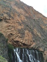 IMG_1134.JPG IMG_1134.JPG