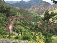 IMG_1145.JPG IMG_1145.JPG