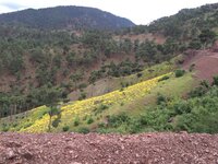 IMG_1151.JPG IMG_1151.JPG