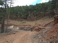 IMG_1157.JPG IMG_1157.JPG