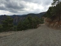 IMG_1166.JPG IMG_1166.JPG