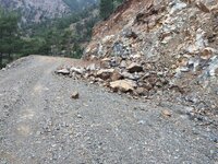 IMG_1167.JPG IMG_1167.JPG