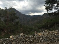 IMG_1168.JPG IMG_1168.JPG