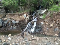 IMG_1172.JPG IMG_1172.JPG