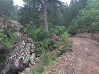 IMG_1175.JPG IMG_1175.JPG