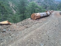 IMG_1176.JPG IMG_1176.JPG