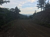 IMG_1181.JPG IMG_1181.JPG