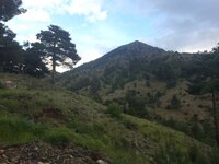 IMG_1182.JPG IMG_1182.JPG