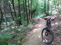 20160604_110005.jpg
