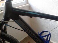 2016-06-07 15.33.49.jpg