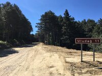 2016-06-12 10.39.34.jpg