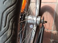 image.jpeg image.jpeg