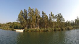 G0075288_1467908765358_high.JPG G0075288_1467908765358_high.JPG