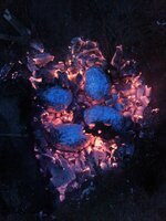 IMG-20160702-WA0003.jpg