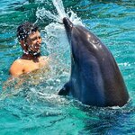 IMG_20160713_135628.jpg IMG_20160713_135628.jpg