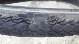 20160612_202208.jpg