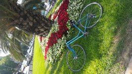 IMG-20160702-WA0048.jpeg IMG-20160702-WA0048.jpeg
