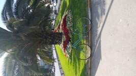 IMG-20160712-WA0051.jpeg IMG-20160712-WA0051.jpeg