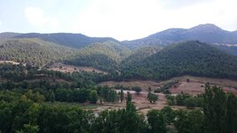 DSC_1369.JPG DSC_1369.JPG