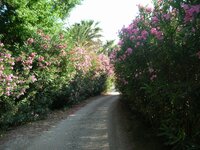 DSCN2071.JPG