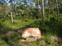 DSCN2075.JPG